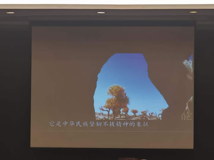 綿陽(yáng)中旅行假日旅行社舉行胡楊林、南疆專列推薦會(huì)